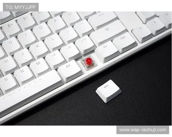 在ttc键盘官网查阅用户评价与产品测评,帮助你做出更明智的购买决策 在ttc键盘官网查阅用户评价与产品测评,帮助你做出更明智的购买决策