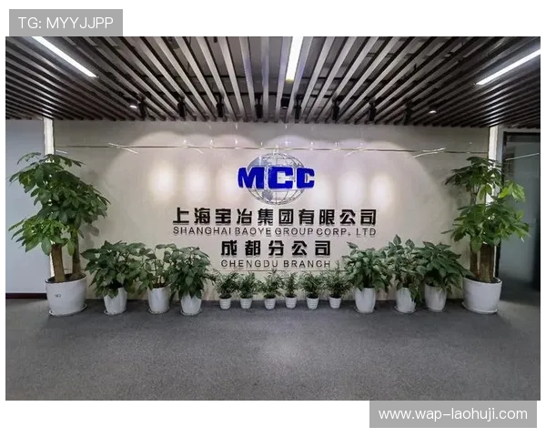 多宝电子集团在全球市场中的竞争优势与品牌影响力分析