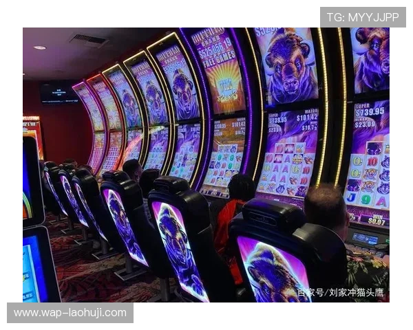 老虎机专卖店:提供全方位的老虎机设备咨询与售后服务保障 老虎机专卖店:提供全方位的老虎机设备咨询与售后服务保障