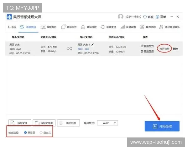 如何快速上手PP小游戏新手指南帮助你轻松掌握游戏技巧快速获胜